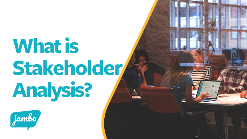 What is a Stakeholder Analysis?