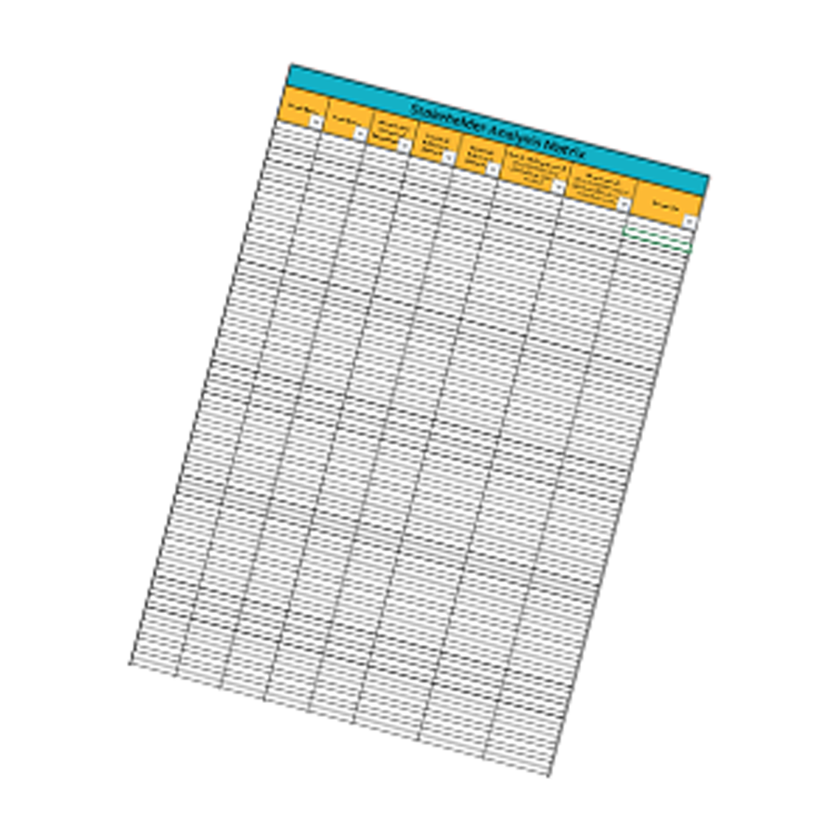 stakeholder analysis